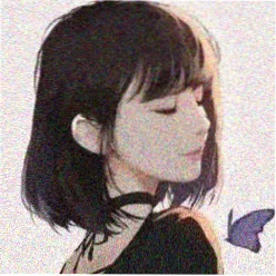 用户头像 十七